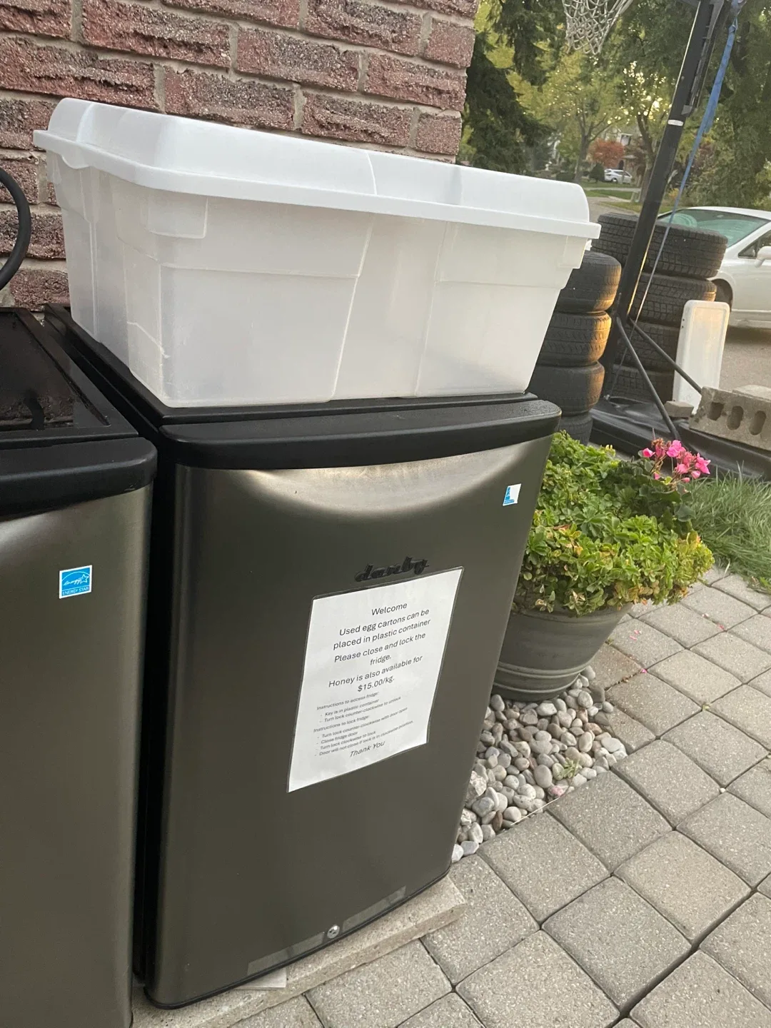 Brown eggs from my mom’s farm image indicator(3)