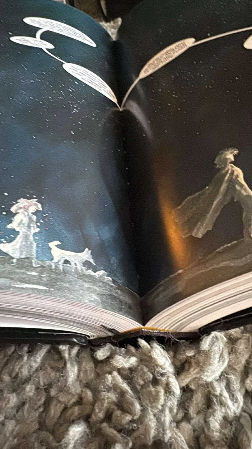 Neil Gaiman The Absolute Sandman Volumes 1-4 and DEATH!! image indicator(6)