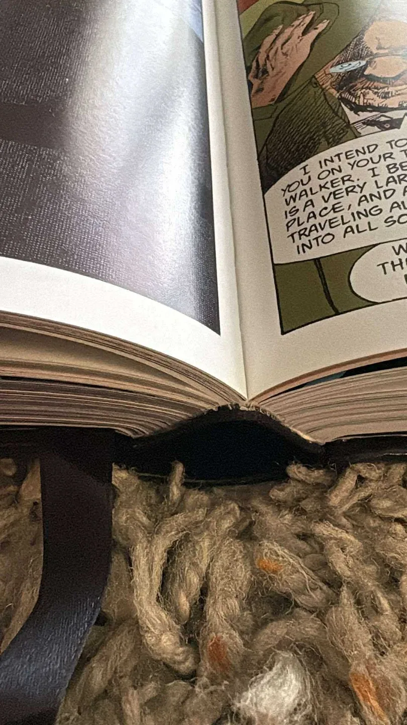 Neil Gaiman The Absolute Sandman Volumes 1-4 and DEATH!! image indicator(5)