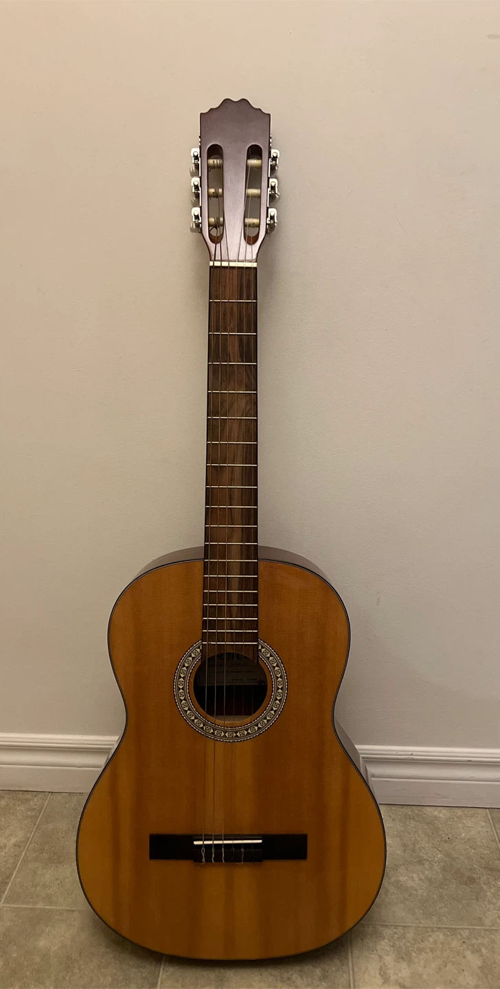 Denver Classical Guitar with Case & Picks