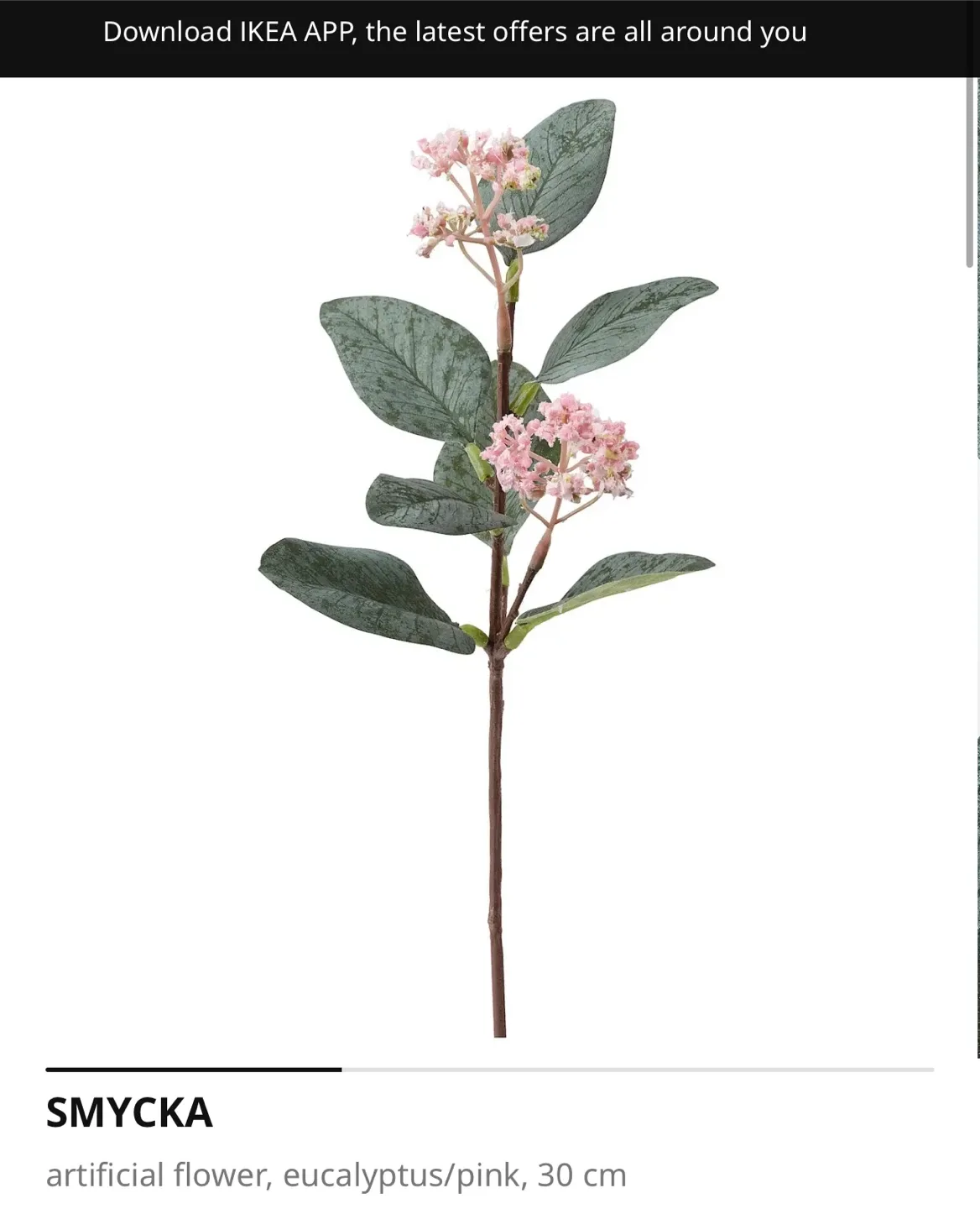 IKEA PÅDRAG Vase, with flowers image indicator(5)