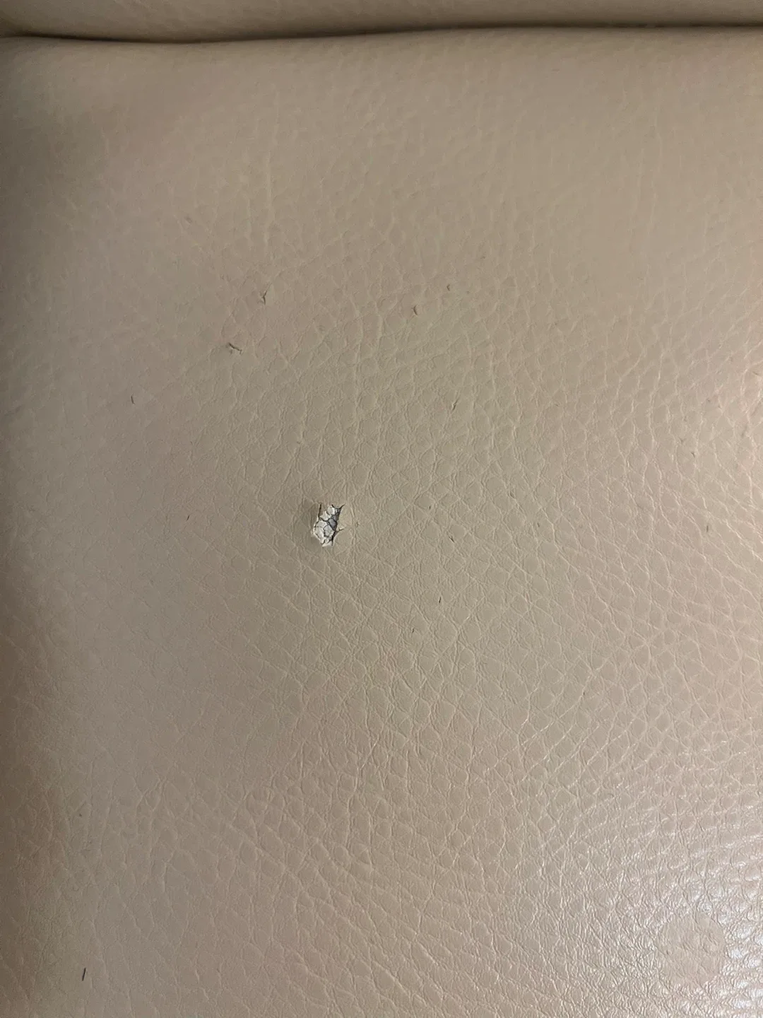 Two Crate & Barrel Counter Stools image indicator(3)