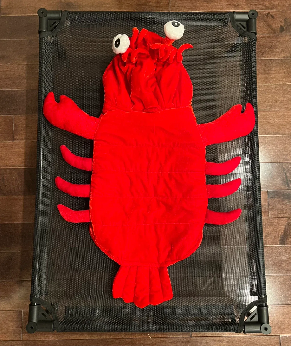 Dog Halloween Lobster Costume - M thumbnail