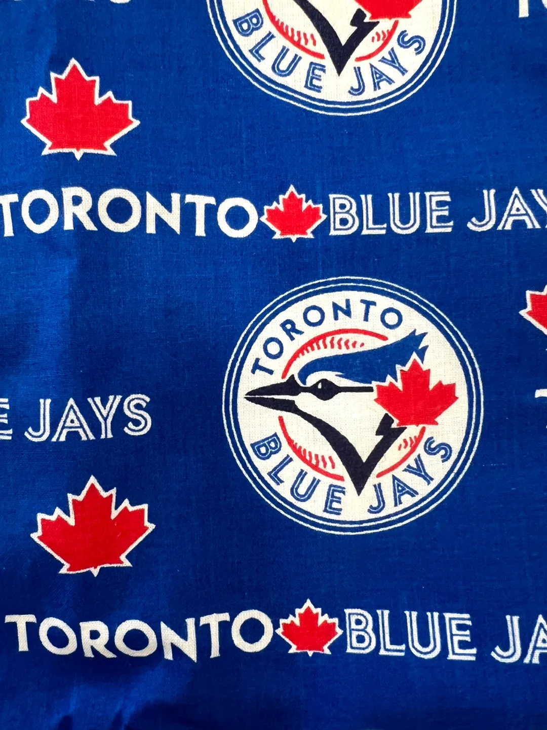 Toronto Blue Jays Sensory Tag Blanket Handmade by me image indicator(2)