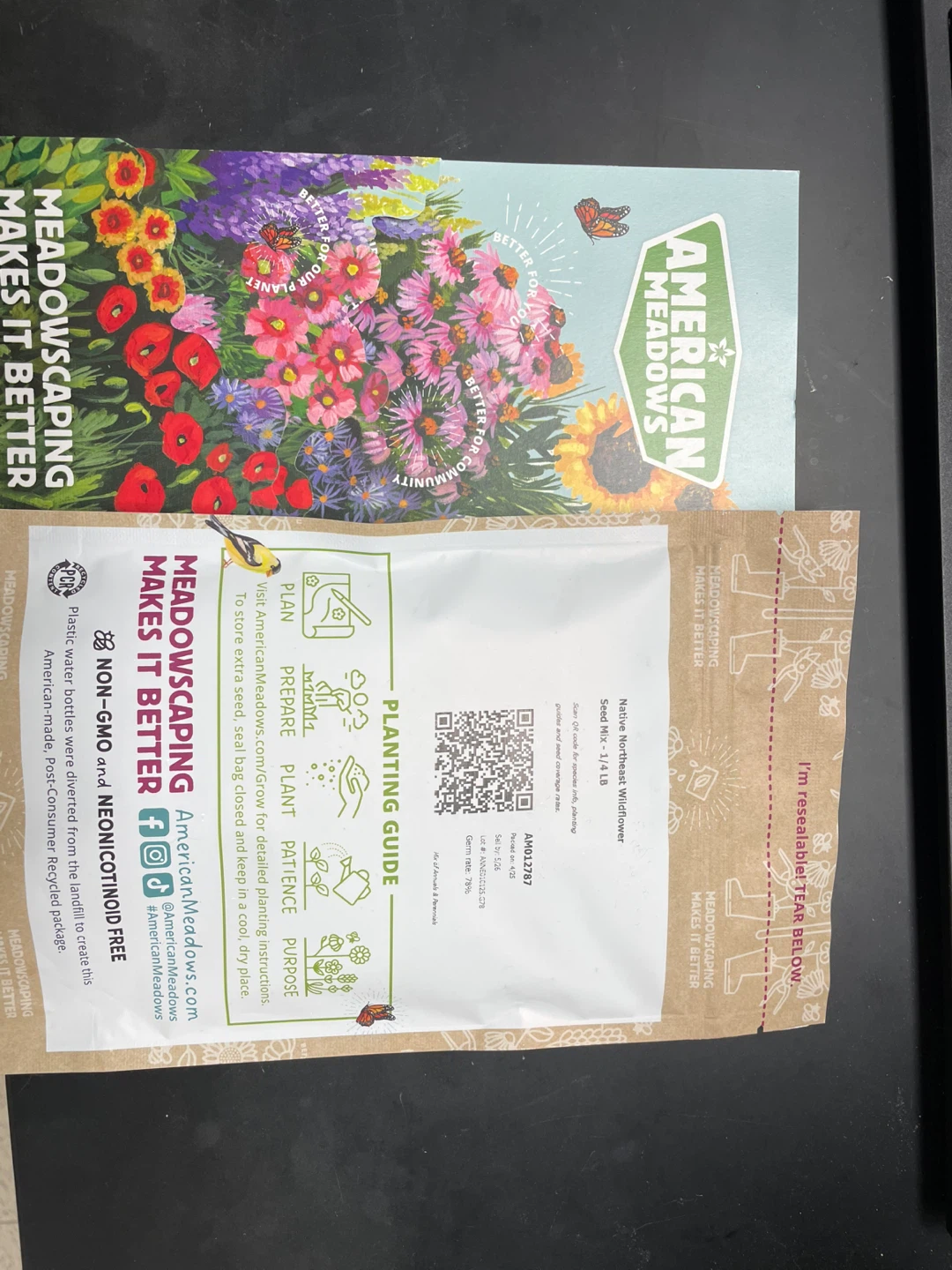 American Meadows Native Northeast Wildflower Seed Mix