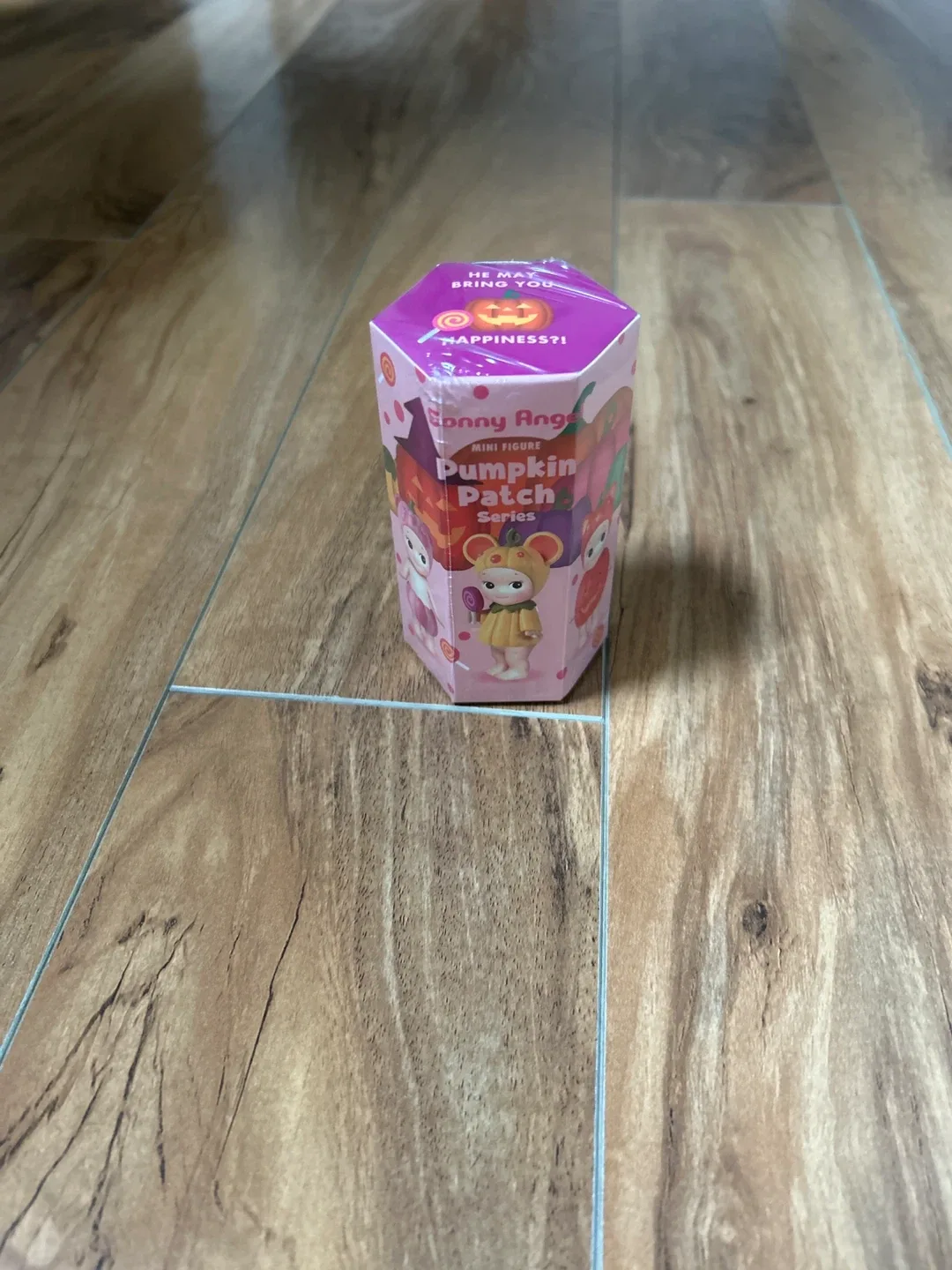 Sonny Angel Pumpkin Patch Series Sealed Box image indicator(2)