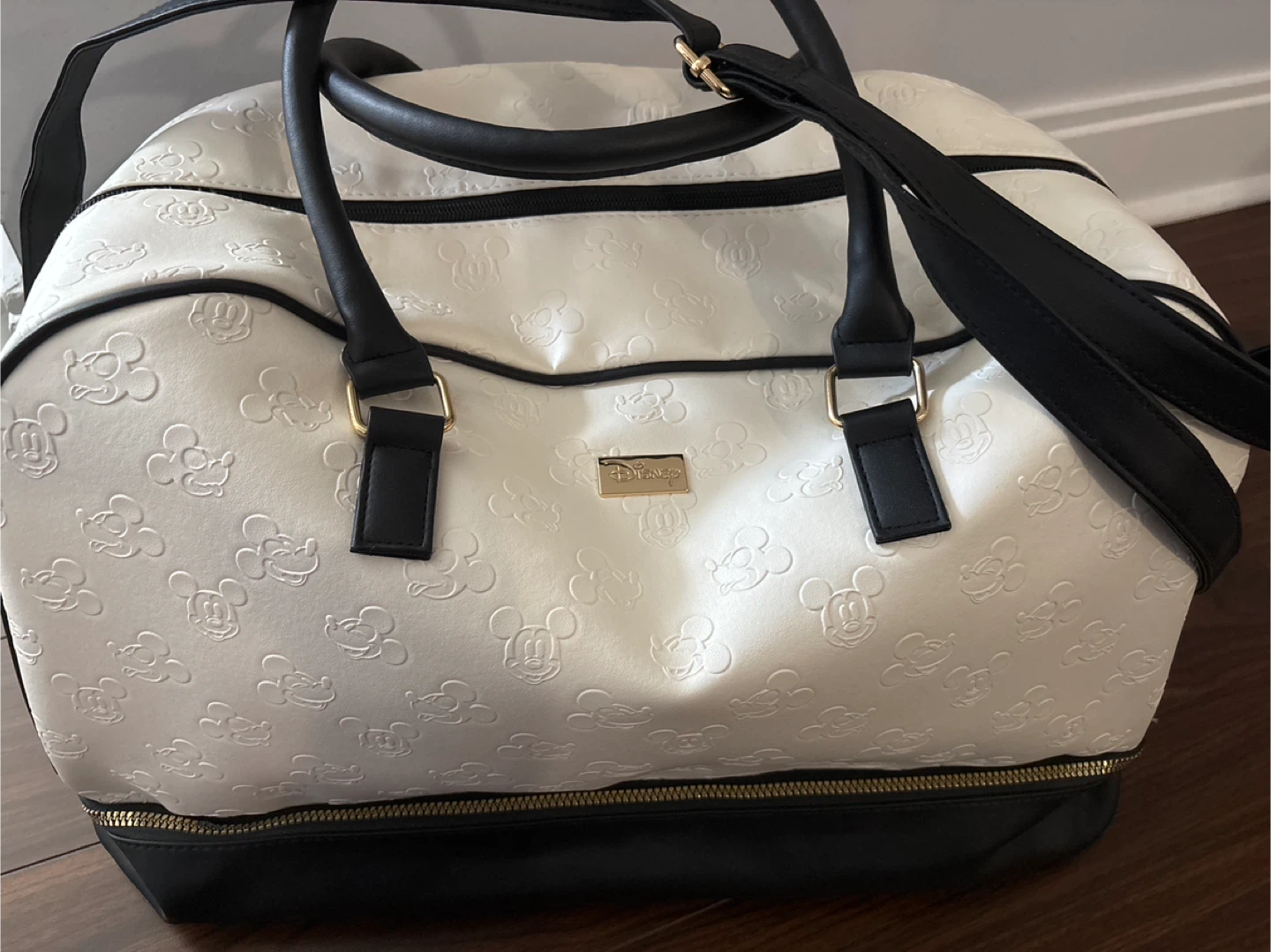 Disney travel bag
