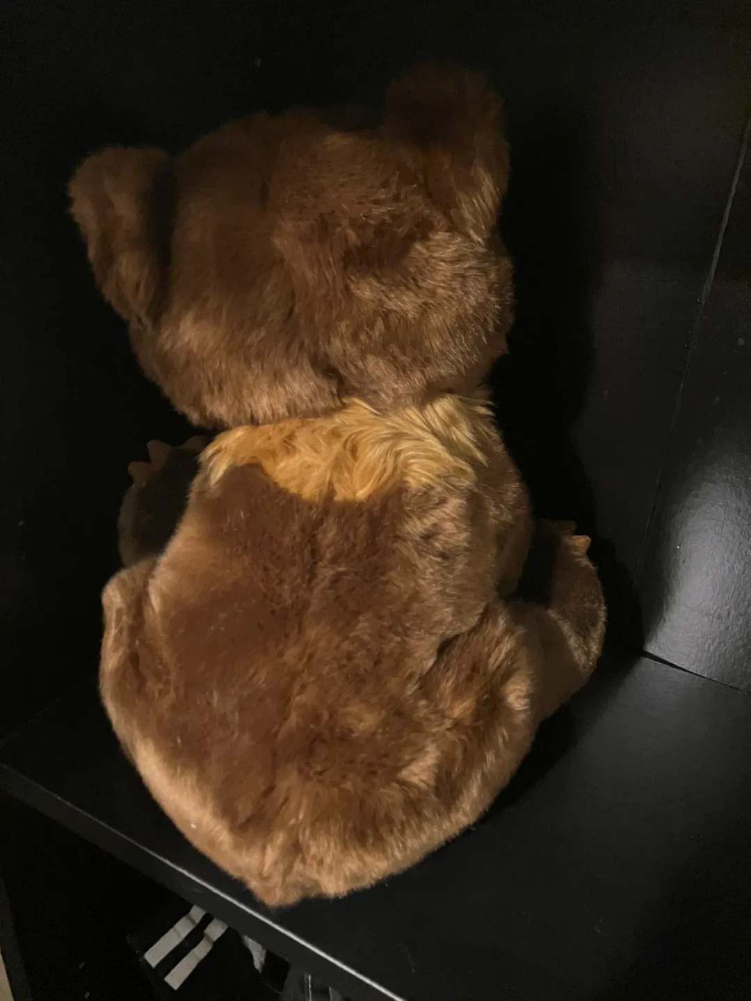 Disney Store Exclusive Plush Bear “Koda” from Brother Bear image indicator(3)