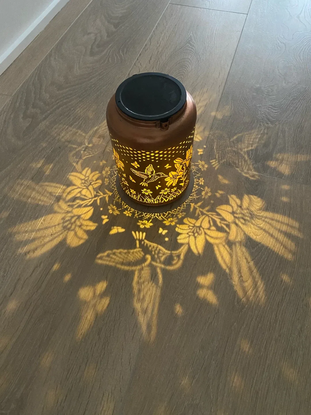 Solar lantern image indicator(2)