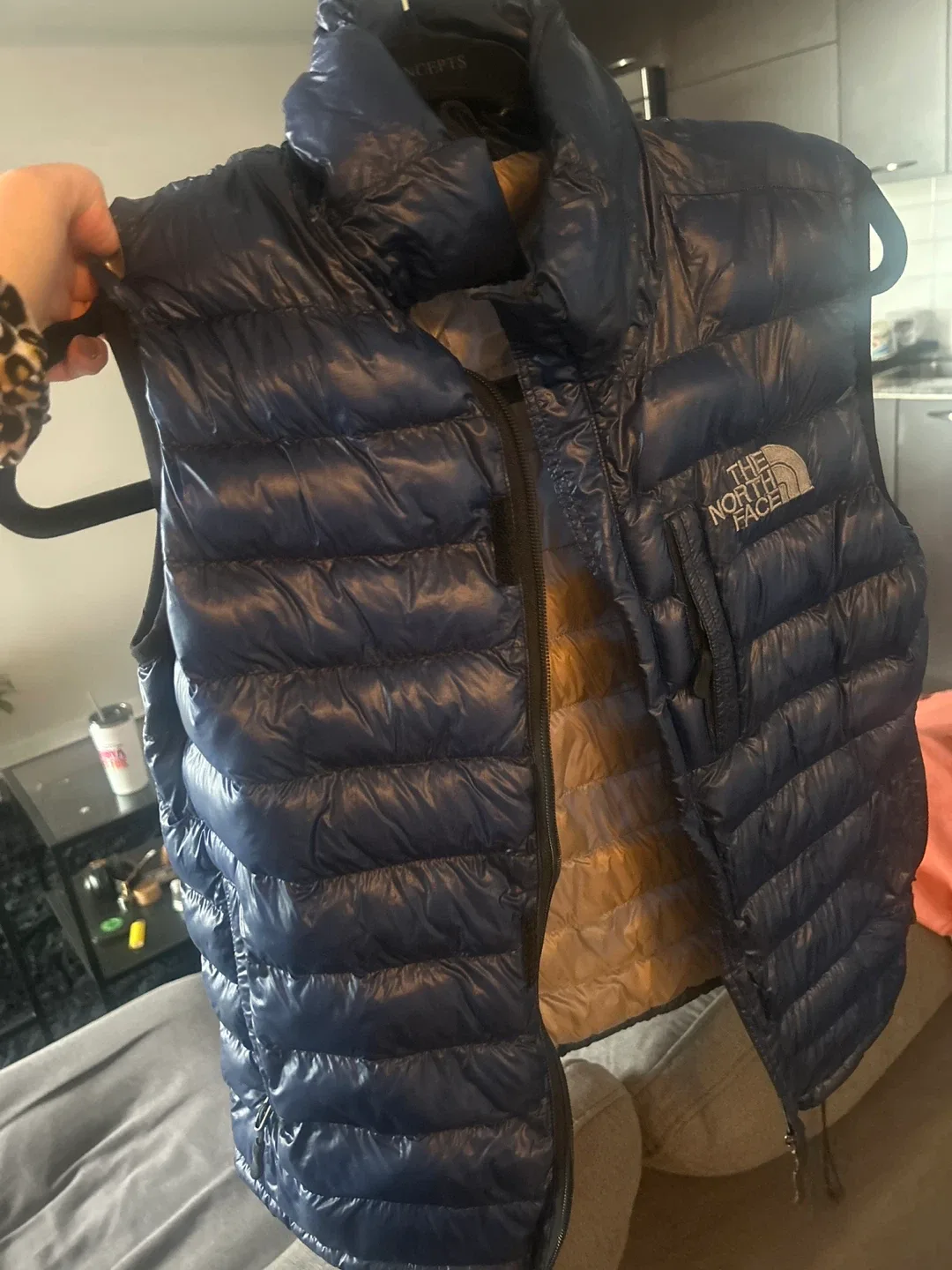 The North Face Goose Down Vest thumbnail