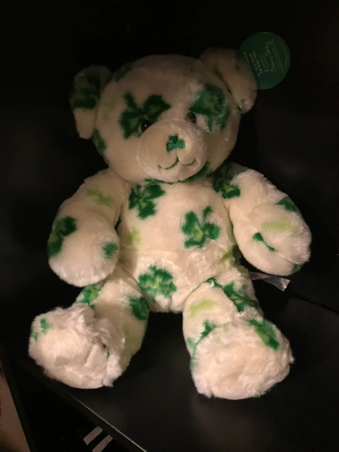 Rare “Lucky Fur You Teddy” Build-a-Bear (2008) thumbnail