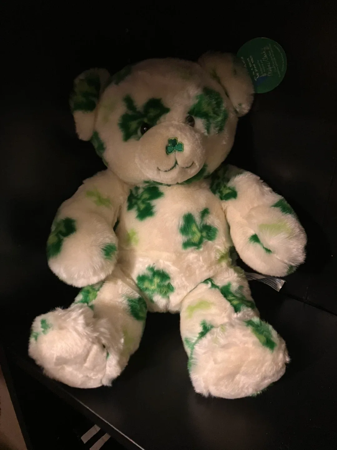 Rare “Lucky Fur You Teddy” Build-a-Bear (2008) image indicator(2)