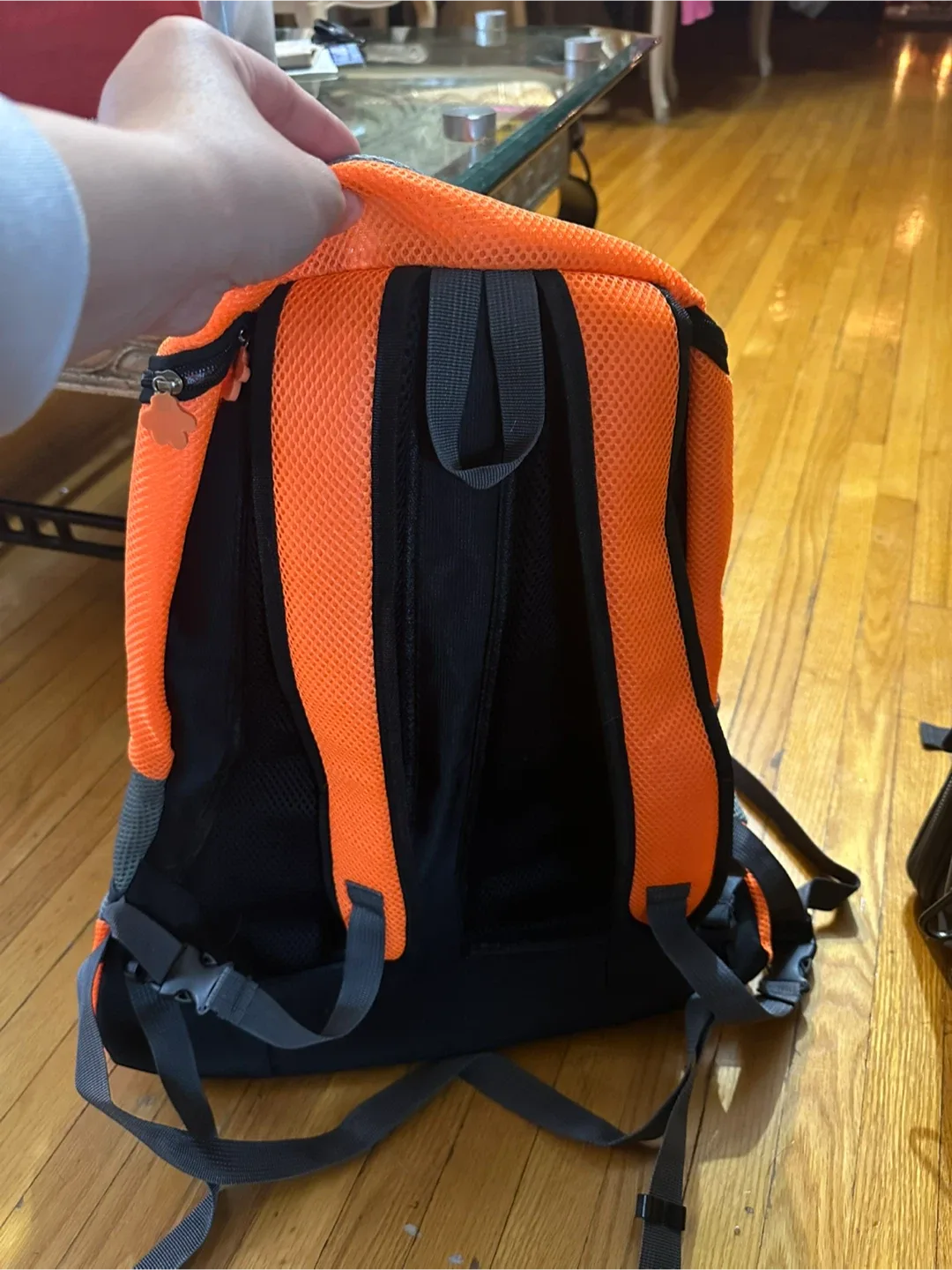 Orange Pet Carrier Backpack image indicator(4)