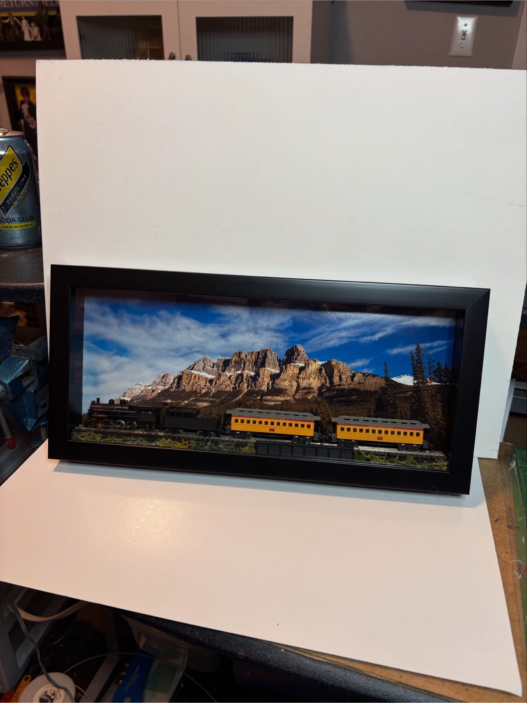 Framed Train Display