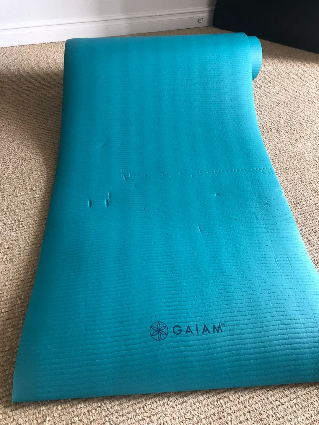 FREE Gaiam Yoga Mat - Turquoise image indicator(3)