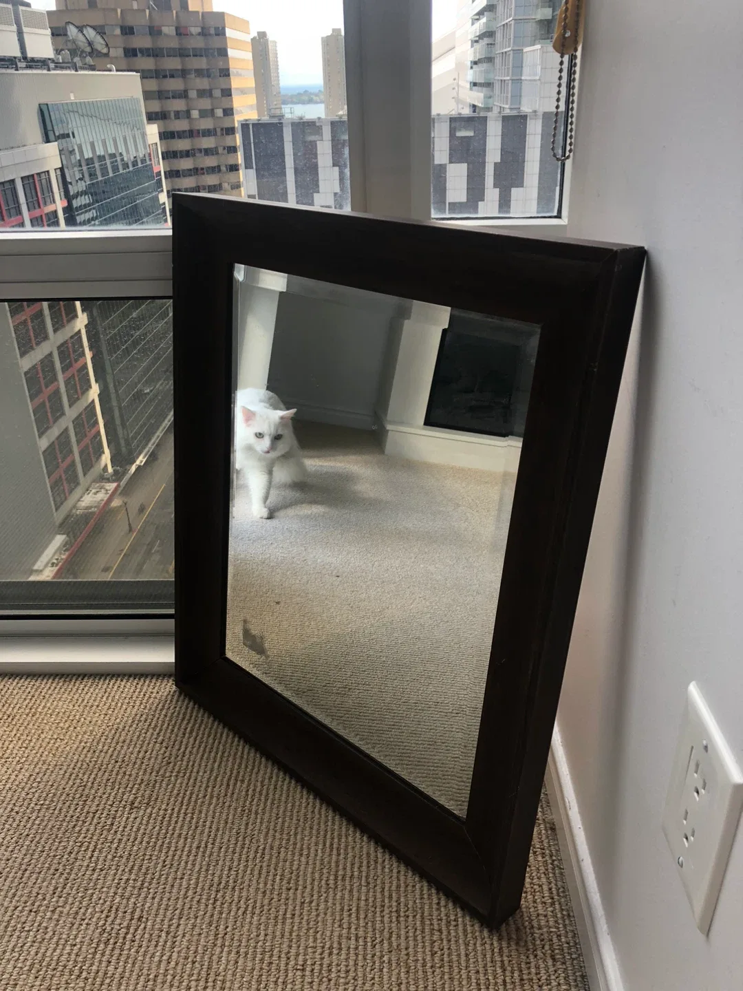 FREE Framed Mirror image indicator(2)