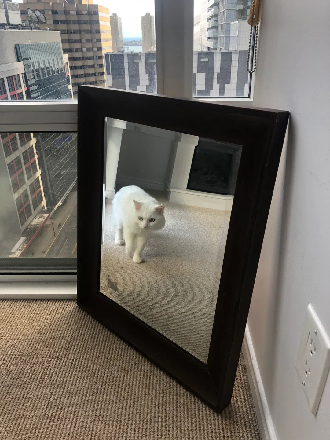 FREE Framed Mirror image indicator(3)