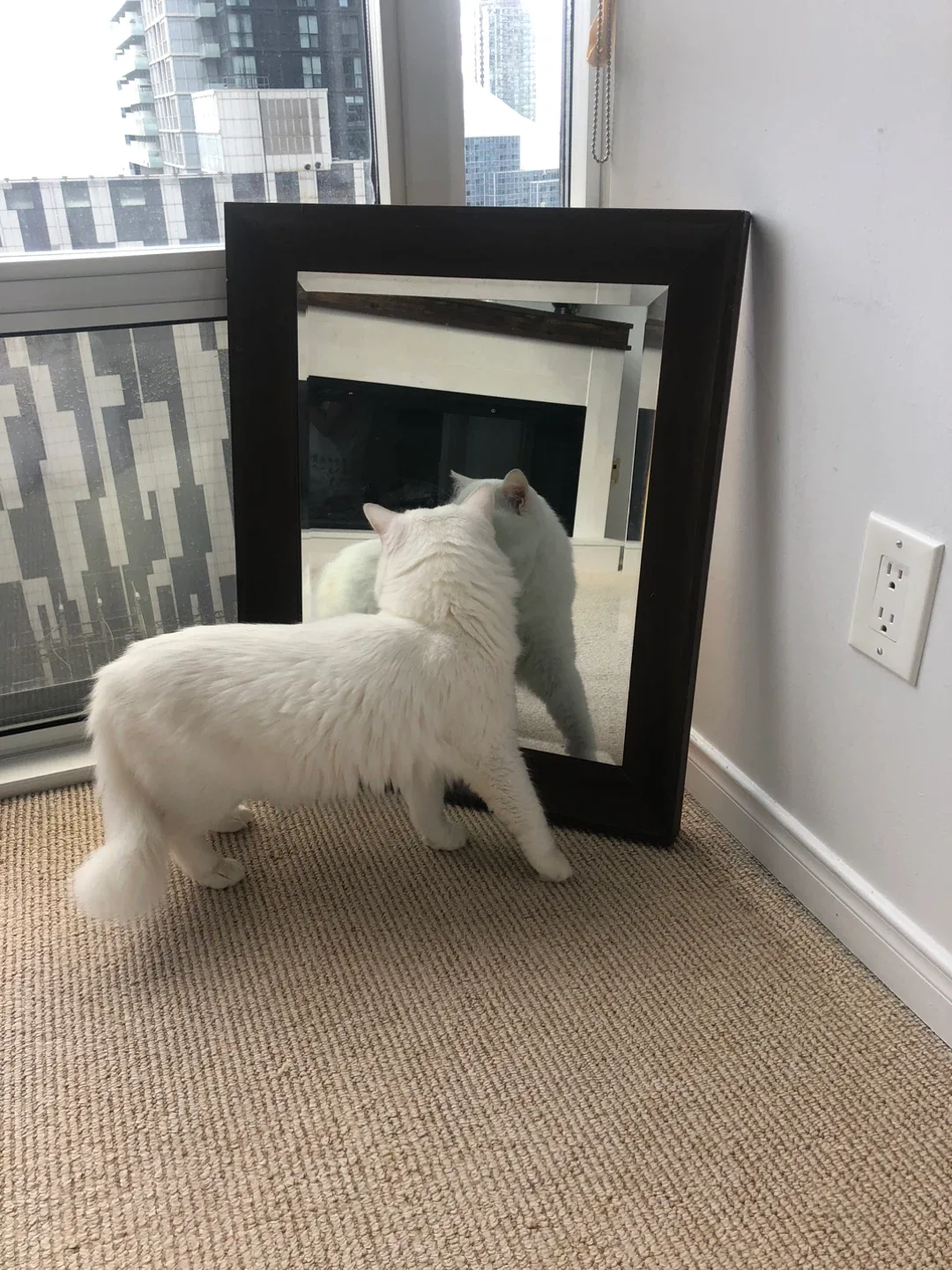 FREE Framed Mirror image indicator(4)