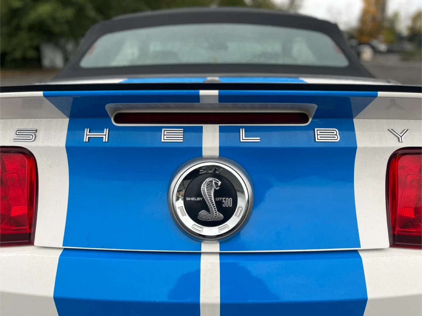 2010 Shelby GT500 Convertible image indicator(5)