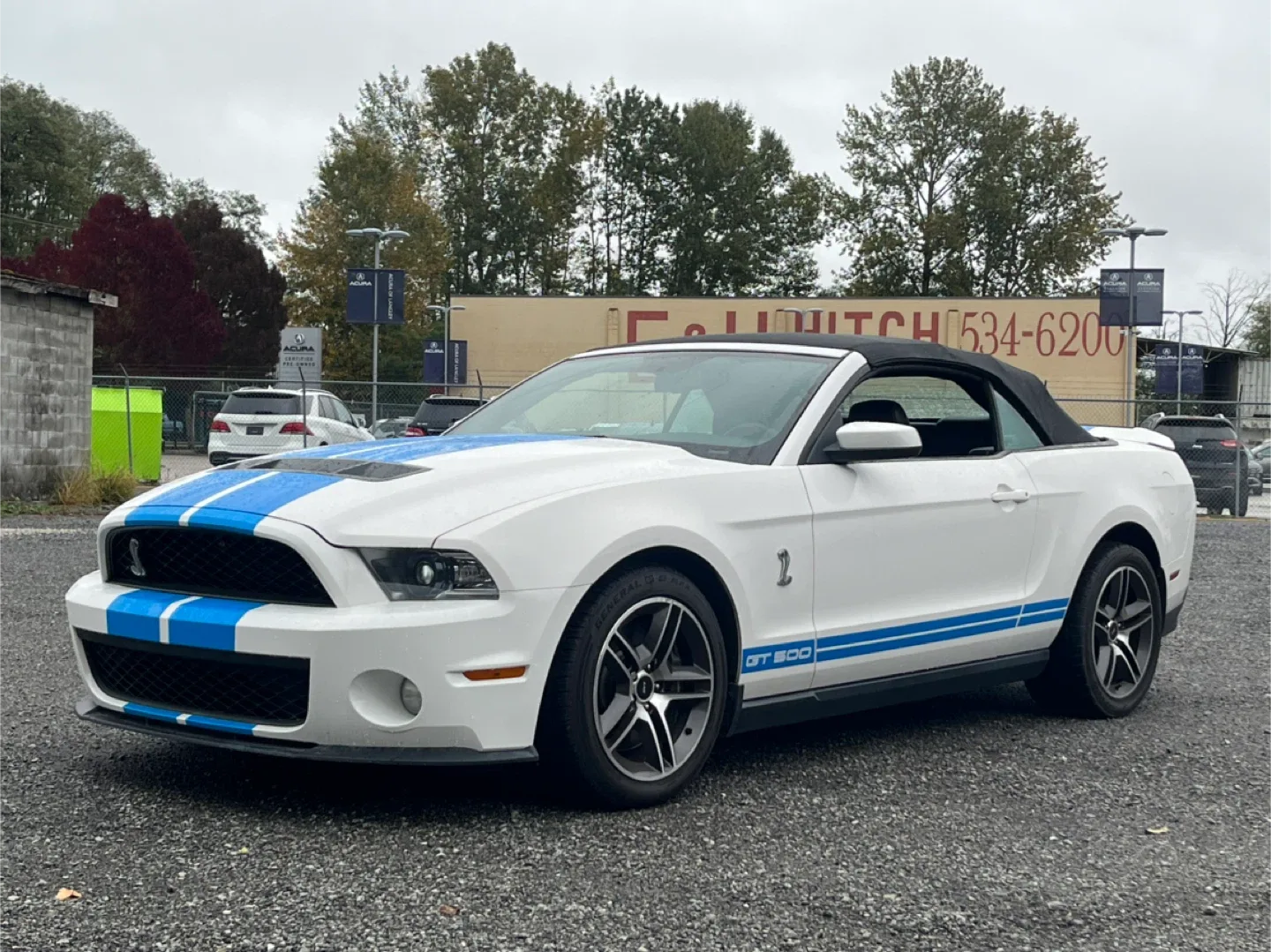 2010 Shelby GT500 Convertible image indicator(8)
