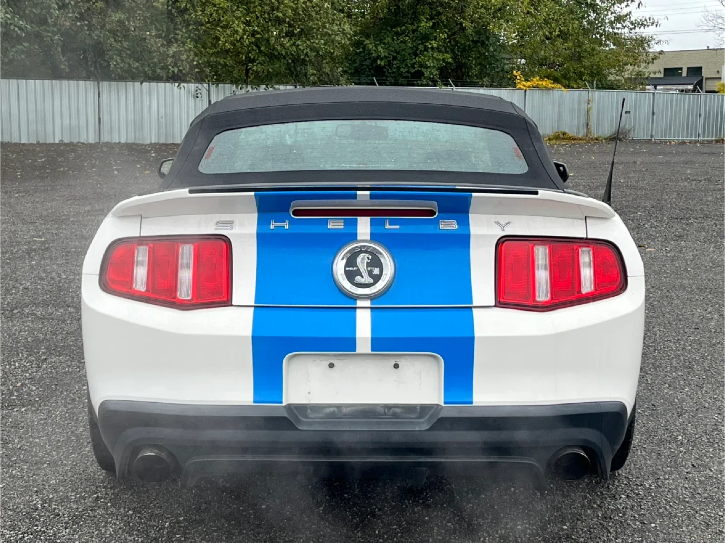 2010 Shelby GT500 Convertible image indicator(4)