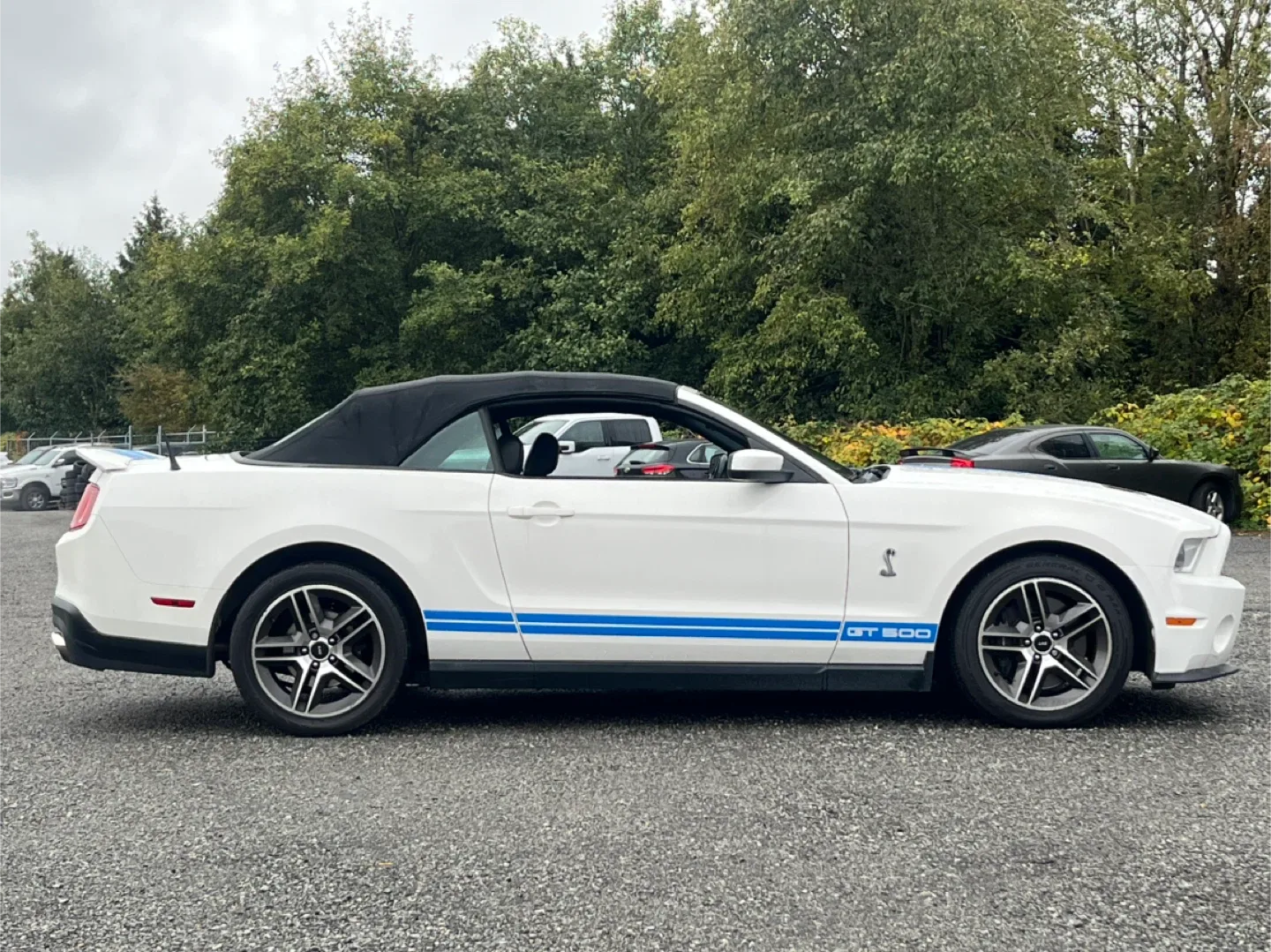 2010 Shelby GT500 Convertible image indicator(2)