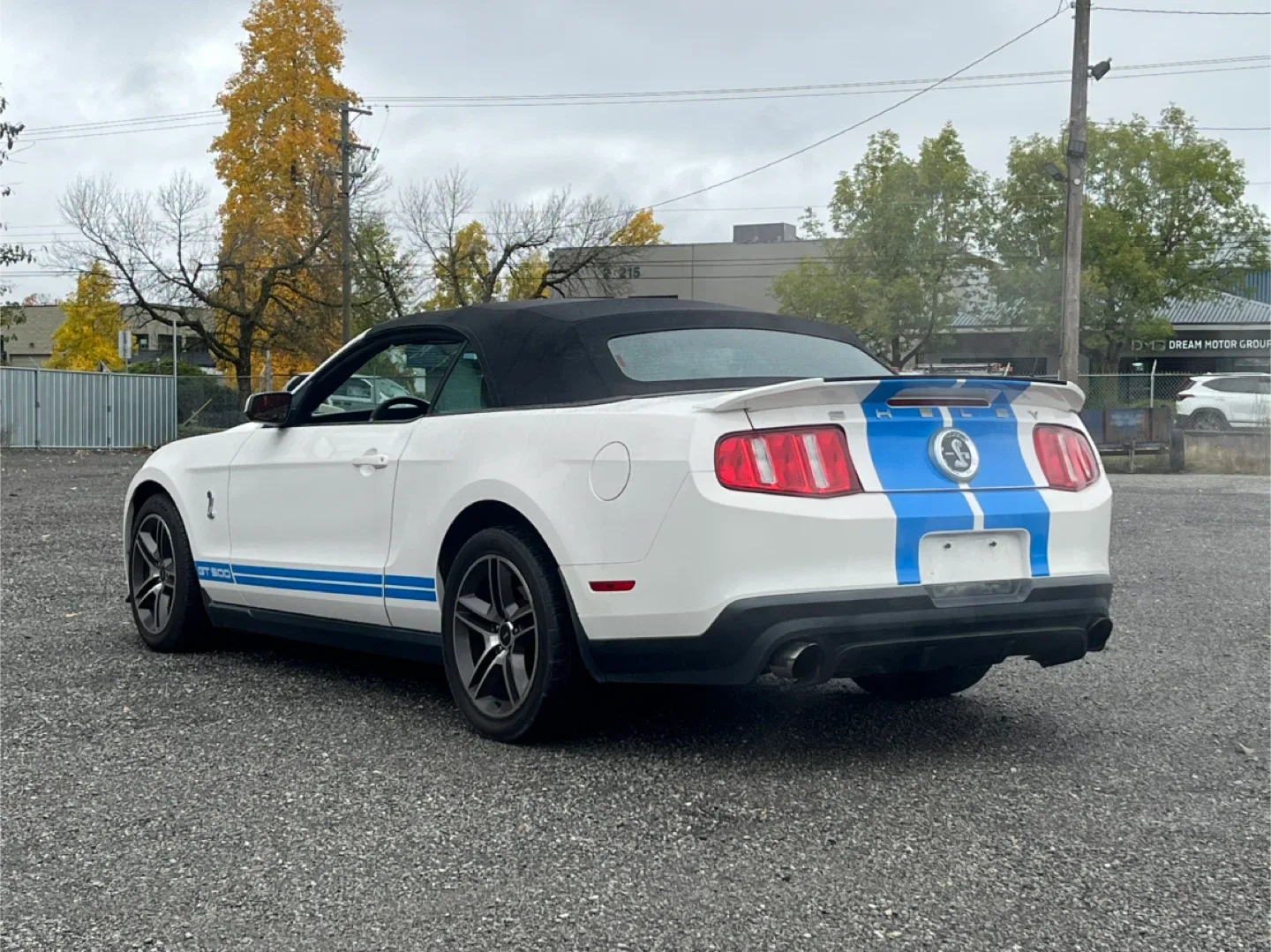 2010 Shelby GT500 Convertible image indicator(6)