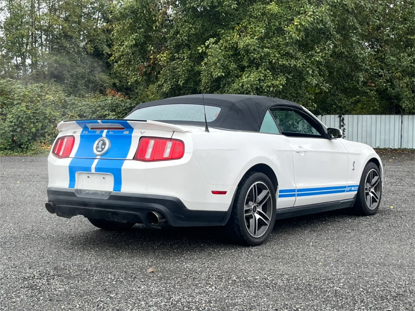 2010 Shelby GT500 Convertible image indicator(3)