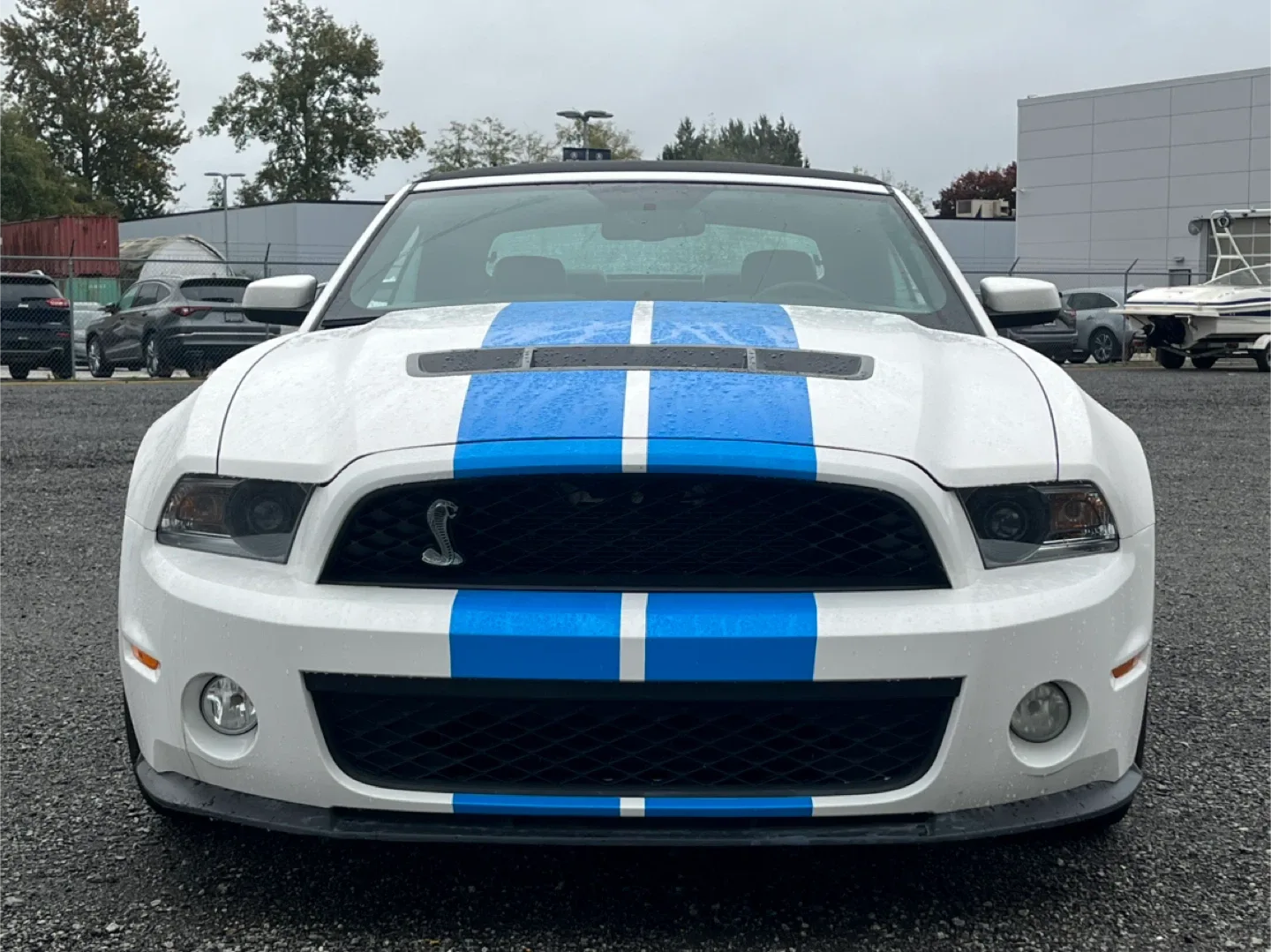2010 Shelby GT500 Convertible image indicator(9)