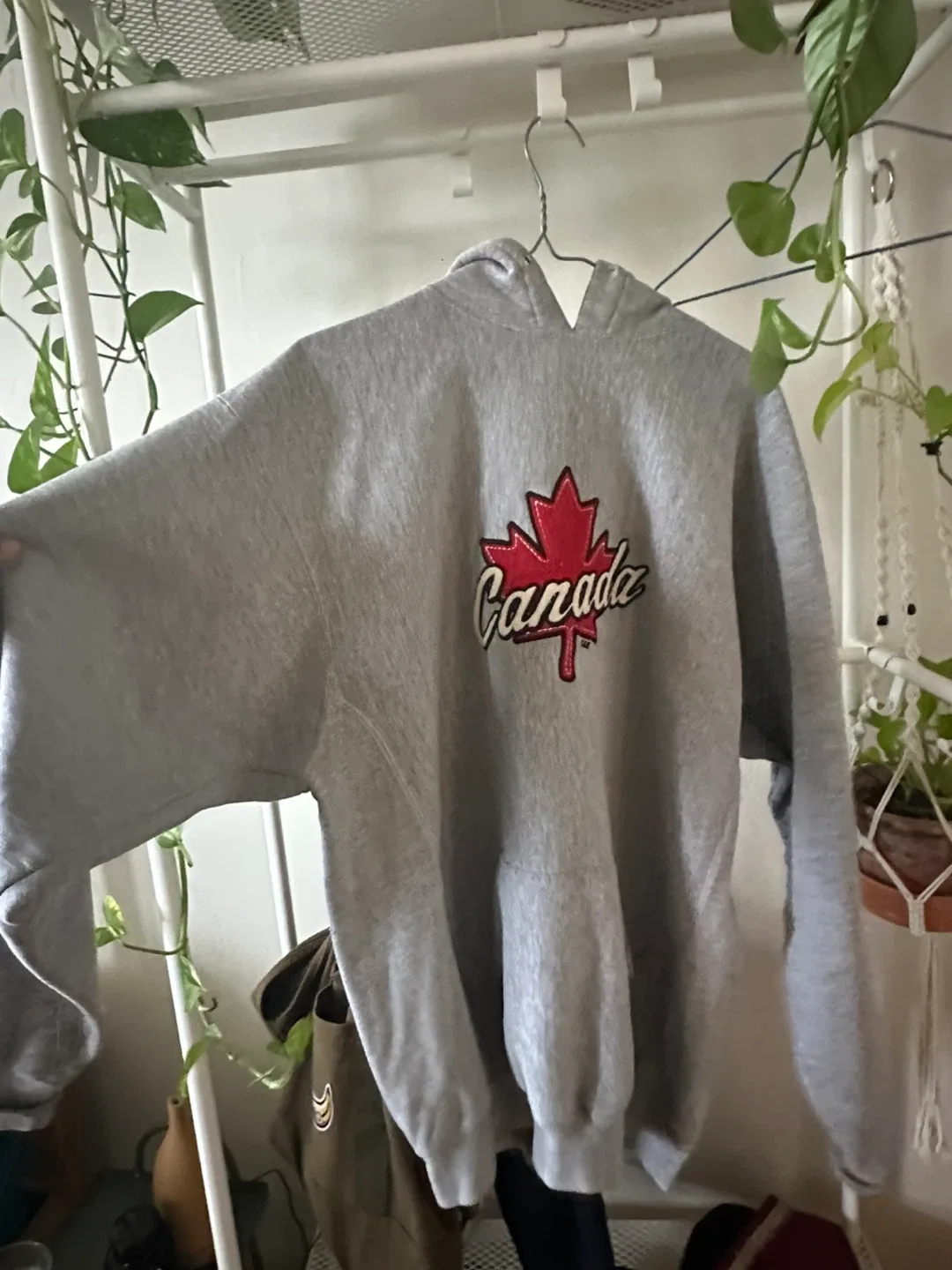 Grey Canada Maple Leaf Hoodie - Oversize image indicator(3)