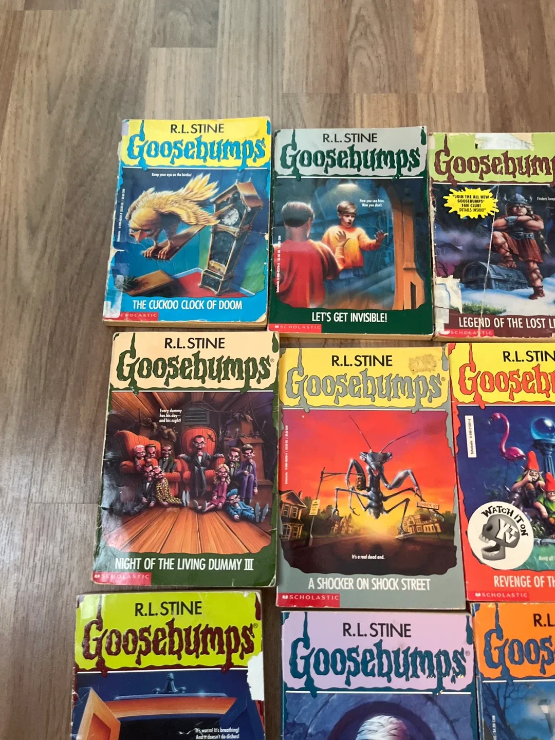 Goosebumps Book Collection by R.L. Stine image indicator(5)