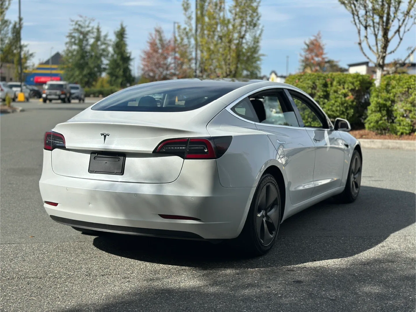 2020 Tesla Model 3 standard range image indicator(2)