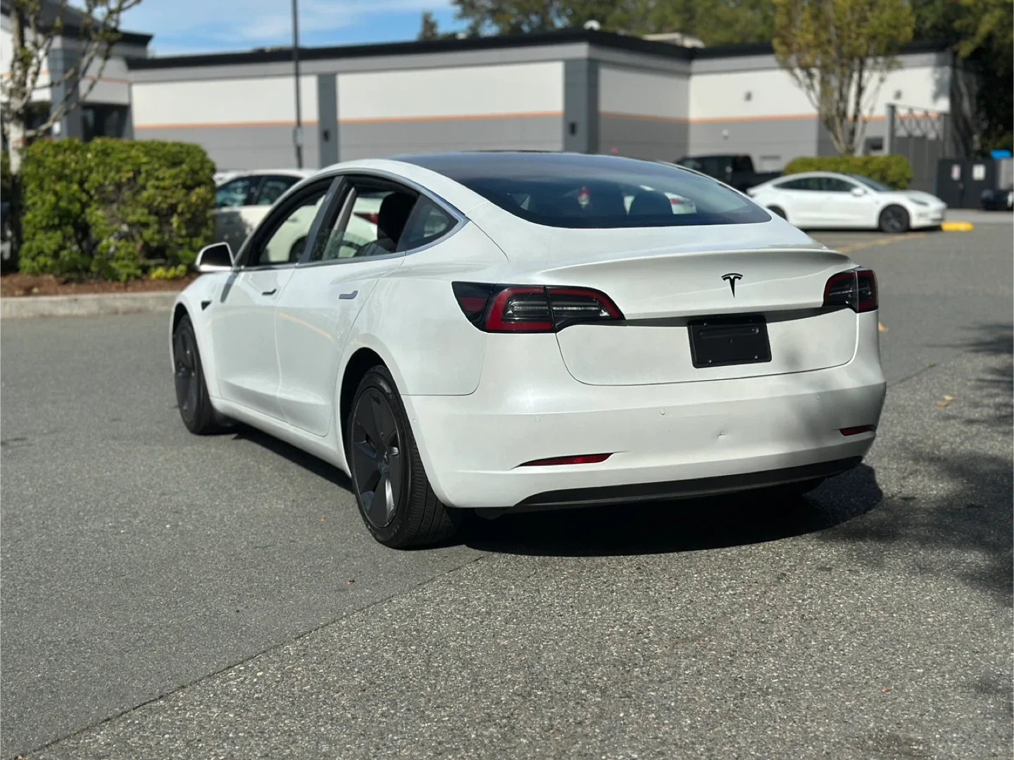 2020 Tesla Model 3 standard range image indicator(3)