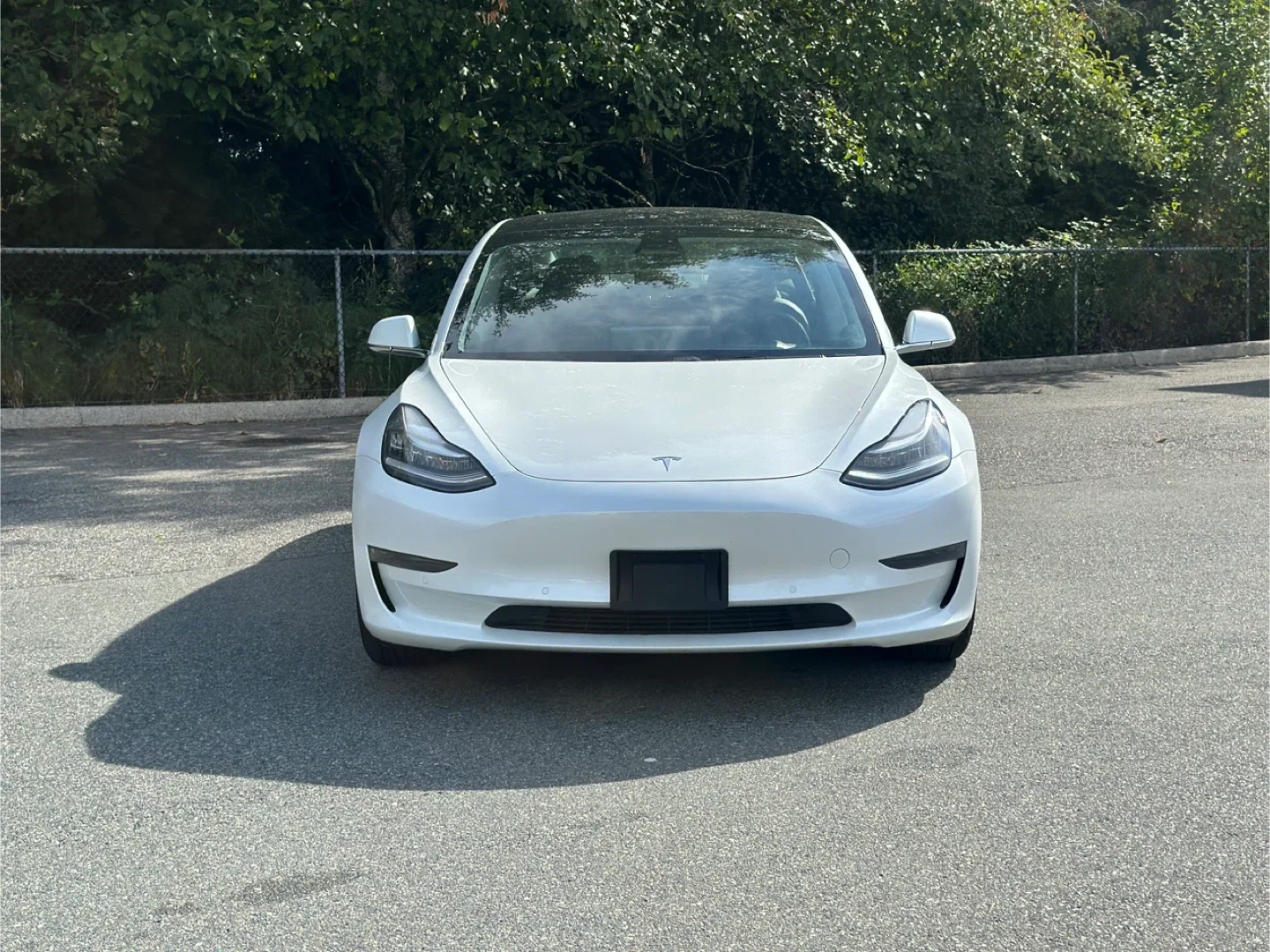 2020 Tesla Model 3 standard range image indicator(5)