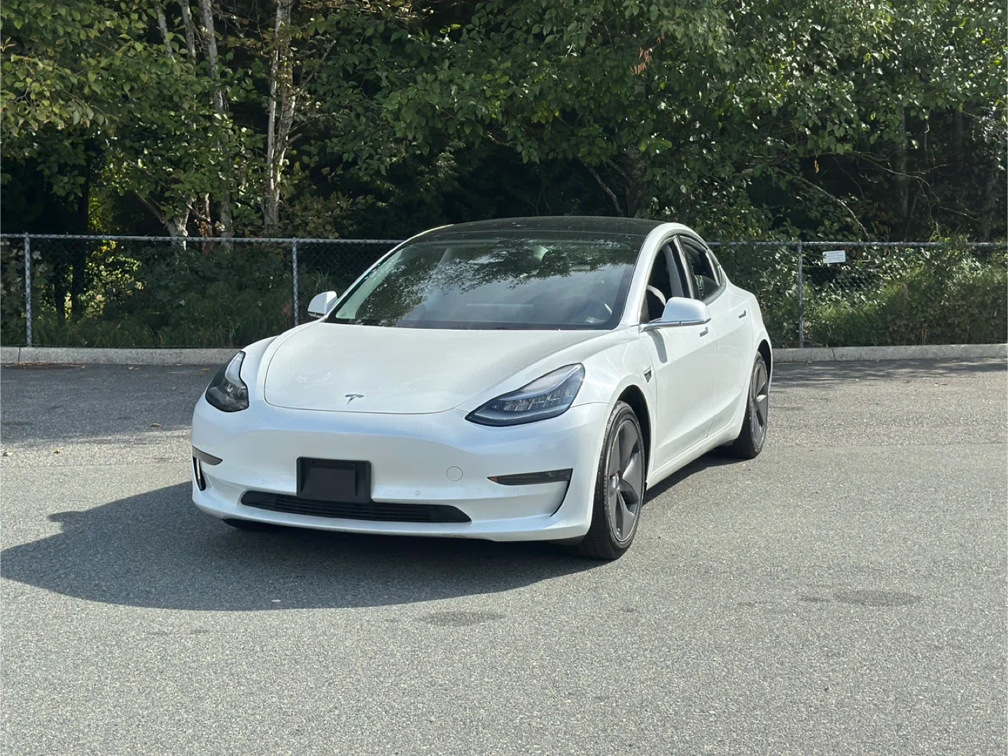 2020 Tesla Model 3 standard range image indicator(4)