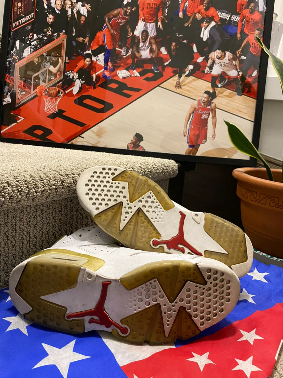 Air Jordan 6 Retro Defining Moments (DMP) - photo 4