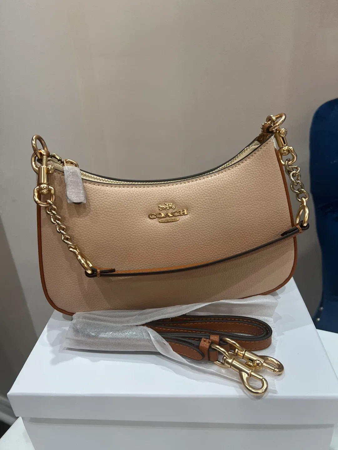 Coach Terri purse image indicator(2)