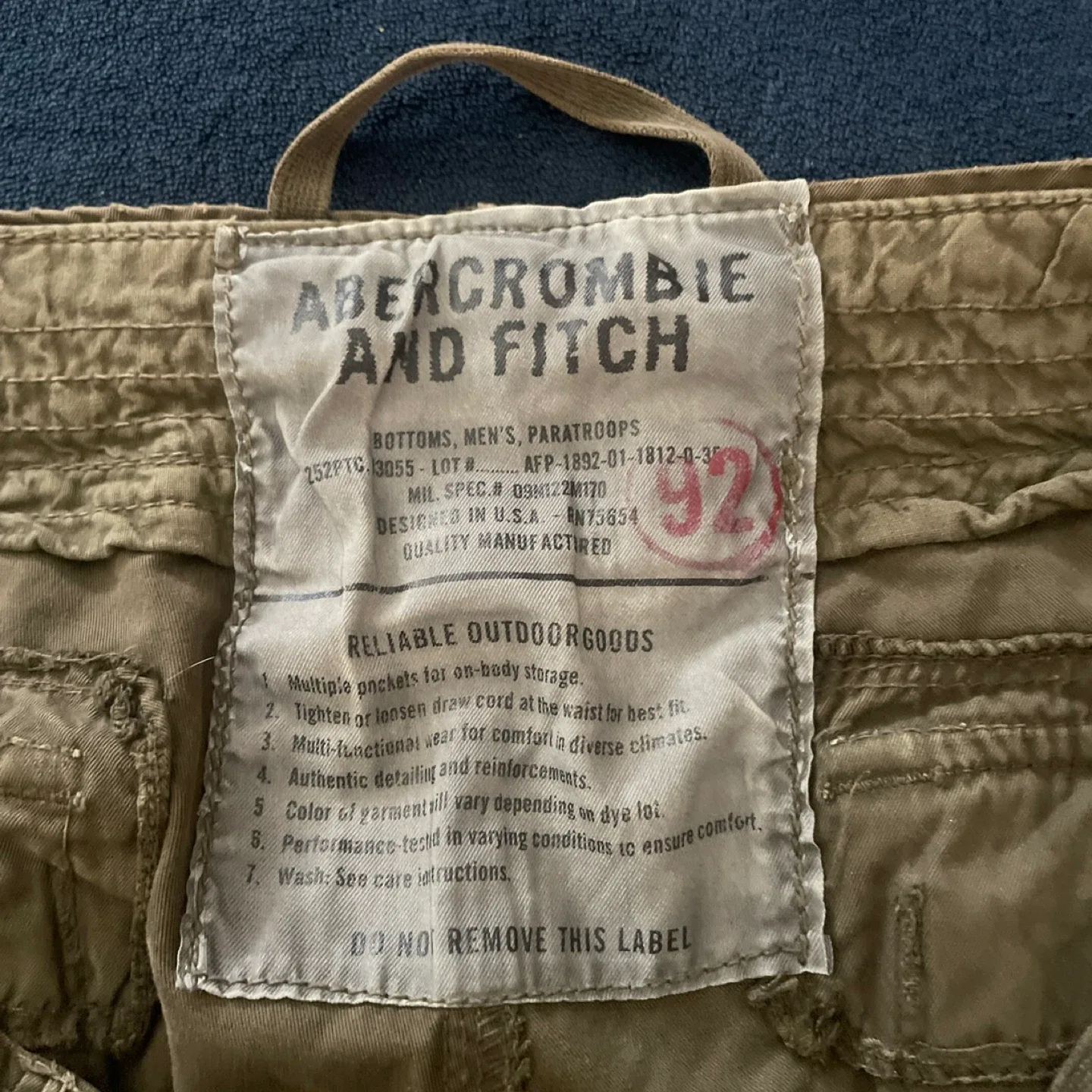 Abercrombie & Fitch Olive Cargo Pants image indicator(7)