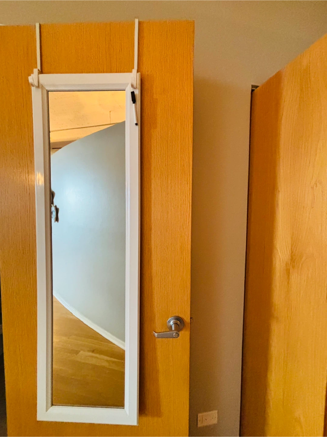 Over-the-Door Mirror