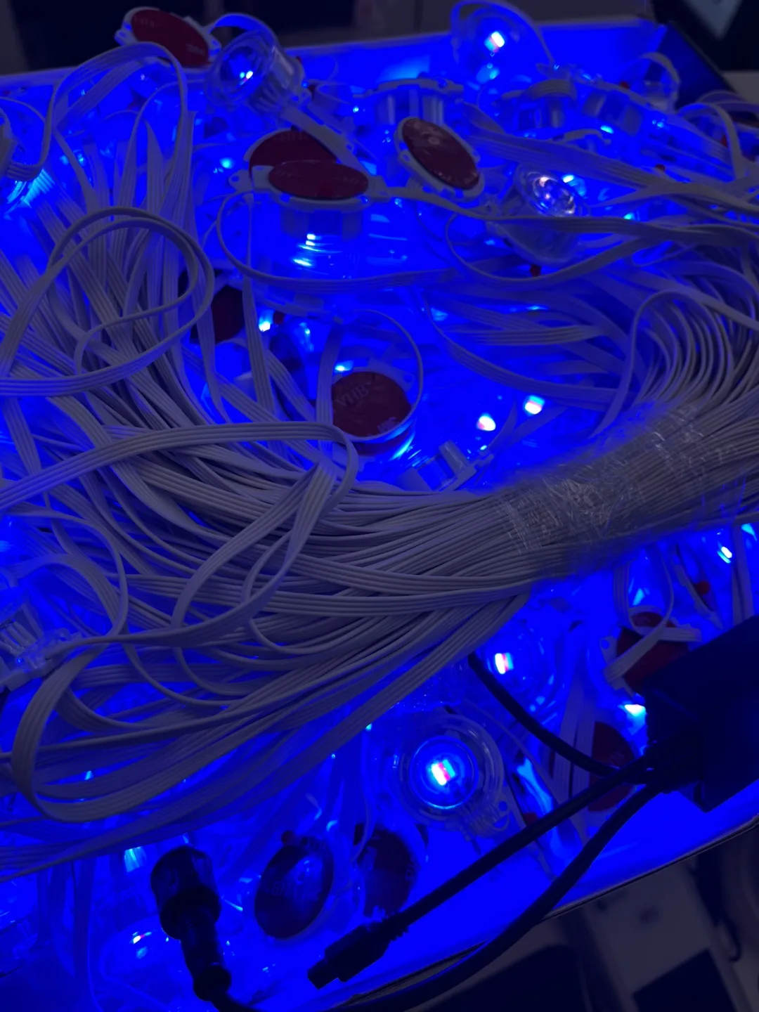 RGB Eaves Lights 500Ft/150M with App ControlRemote,IP67