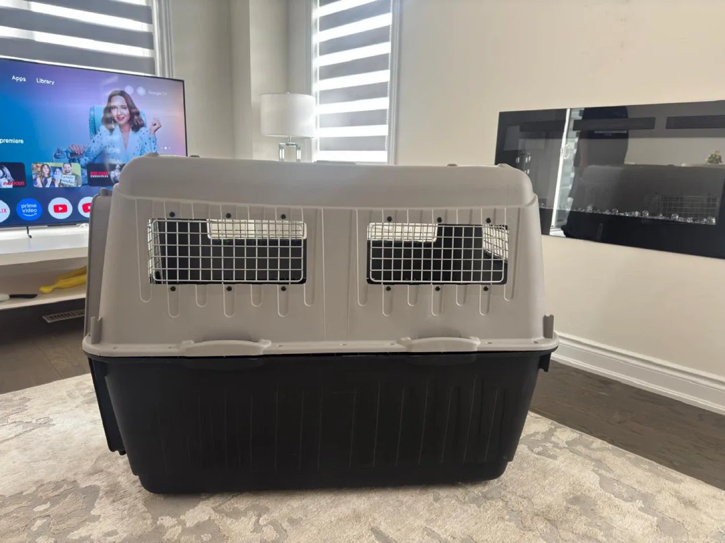 Petmate Sky Kennel Pet Carrier image indicator(2)