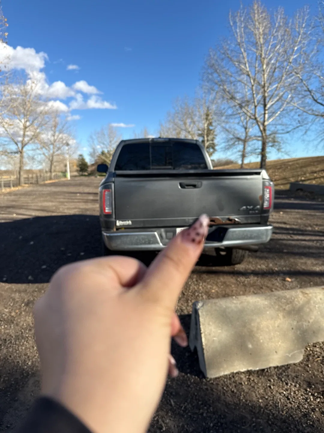 2008 Dodge Ram 1500 slt image indicator(3)