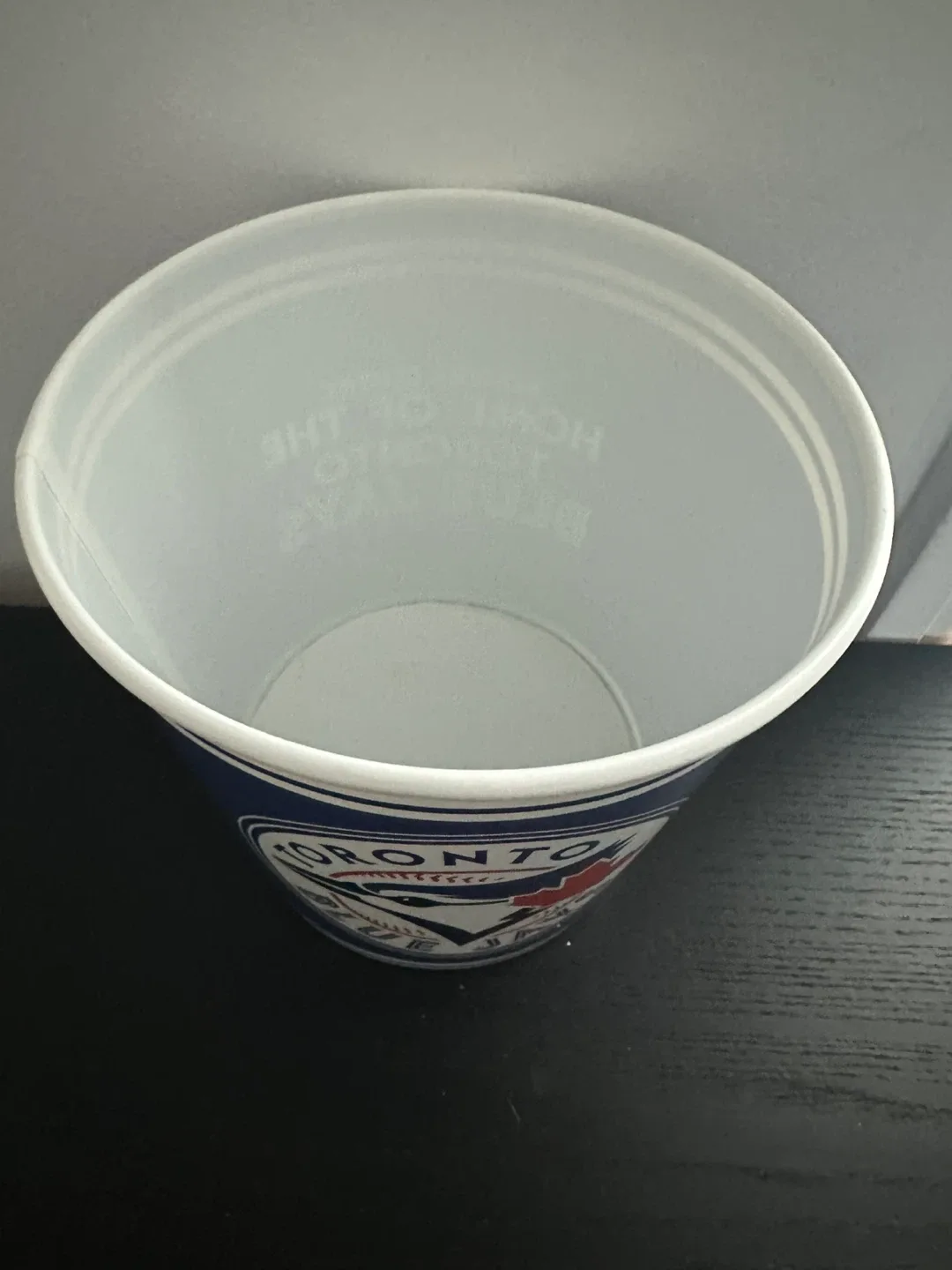 Toronto Blue Jays Rogers Centre Bucket image indicator(4)