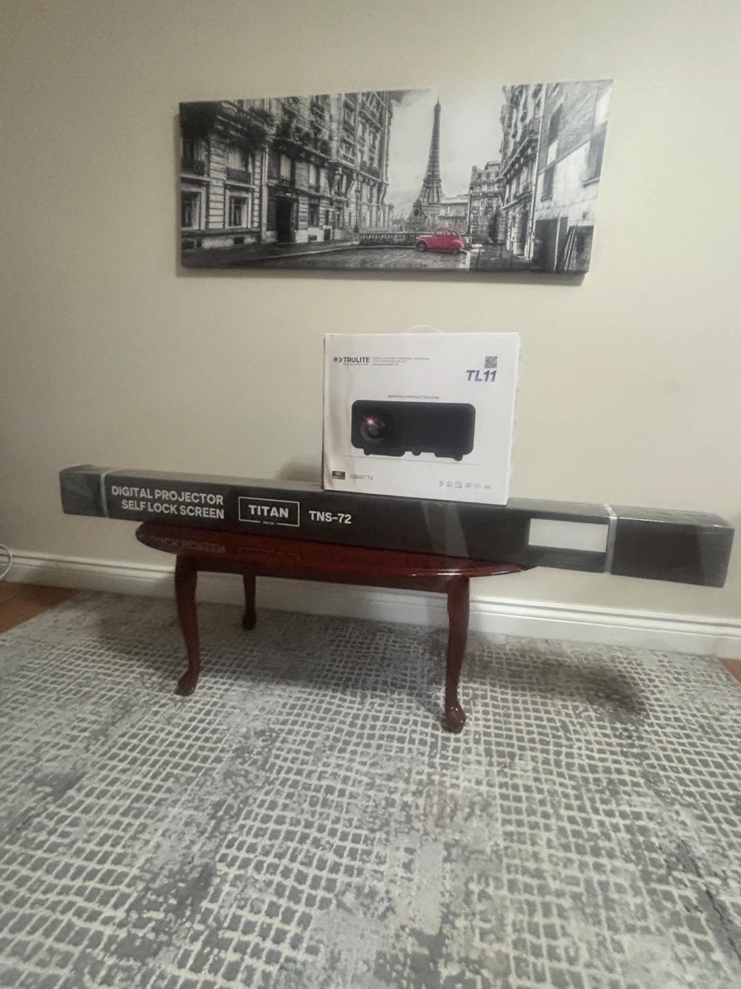 TruLite TL11 Projector & Titan TNS-72 Screen - NEW! - photo 2