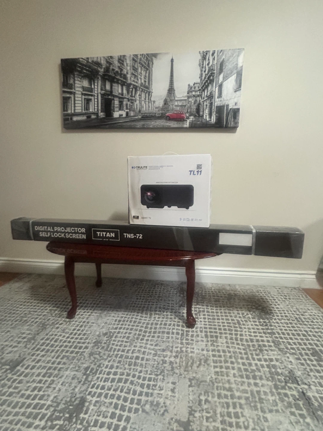 TruLite TL11 Projector & Titan TNS-72 Screen - NEW!