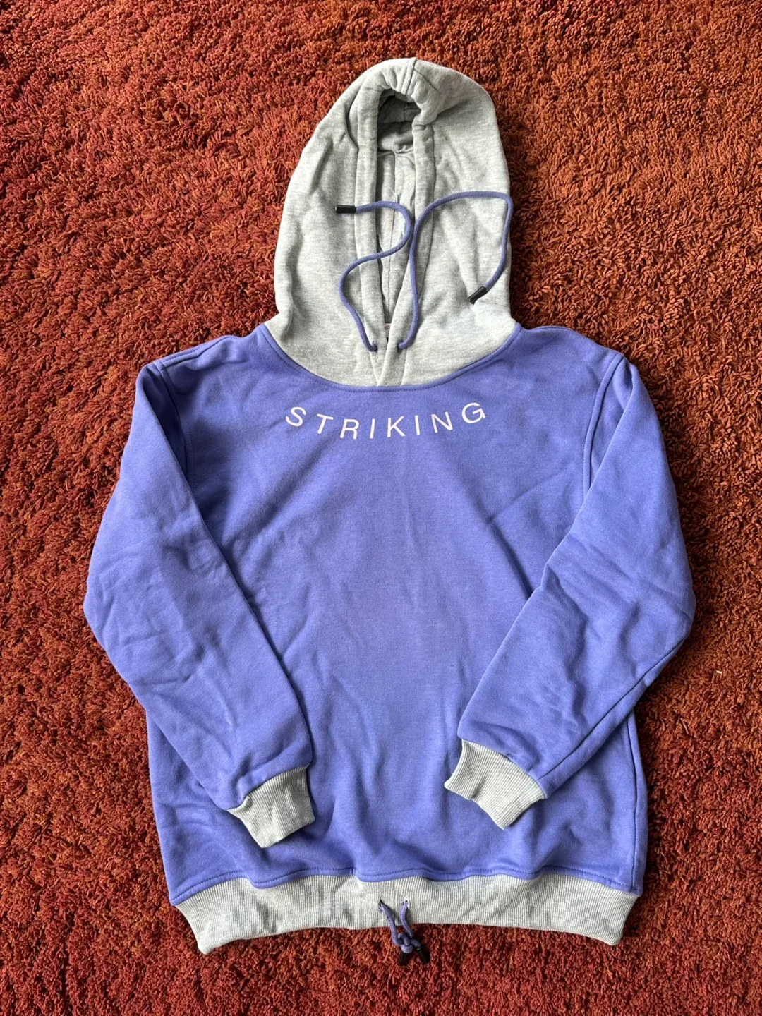 Hoodie image indicator(2)