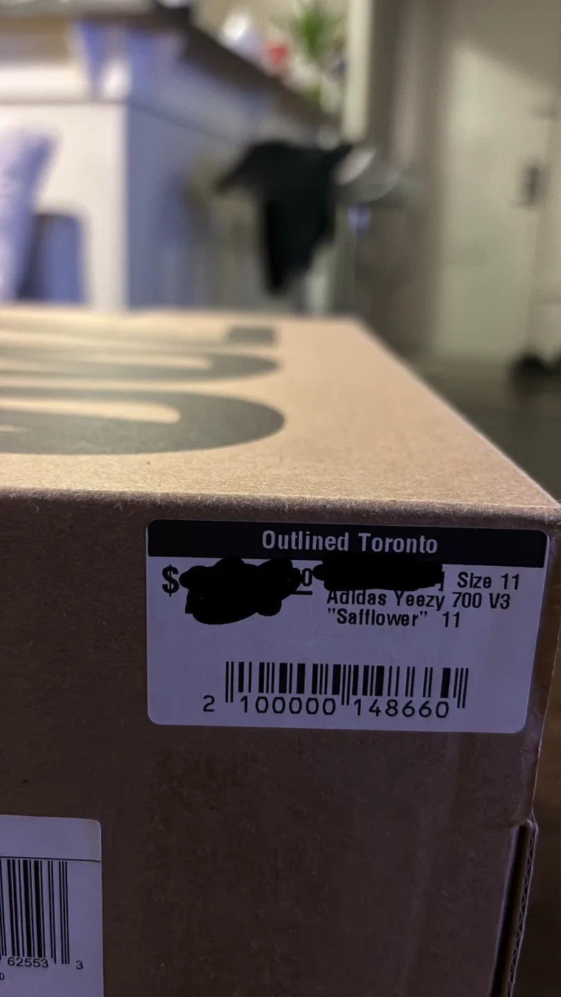 Adidas Yeezy 700 V3 Safflower - Size 11 image indicator(3)