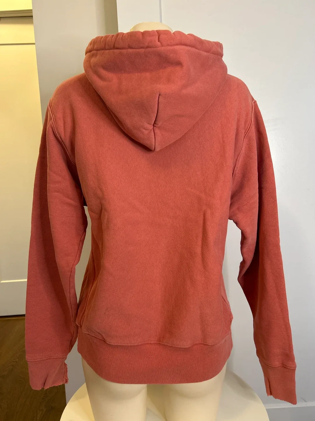 Champion Reverse Weave Hoodie - Vintage Red Colour image indicator(3)