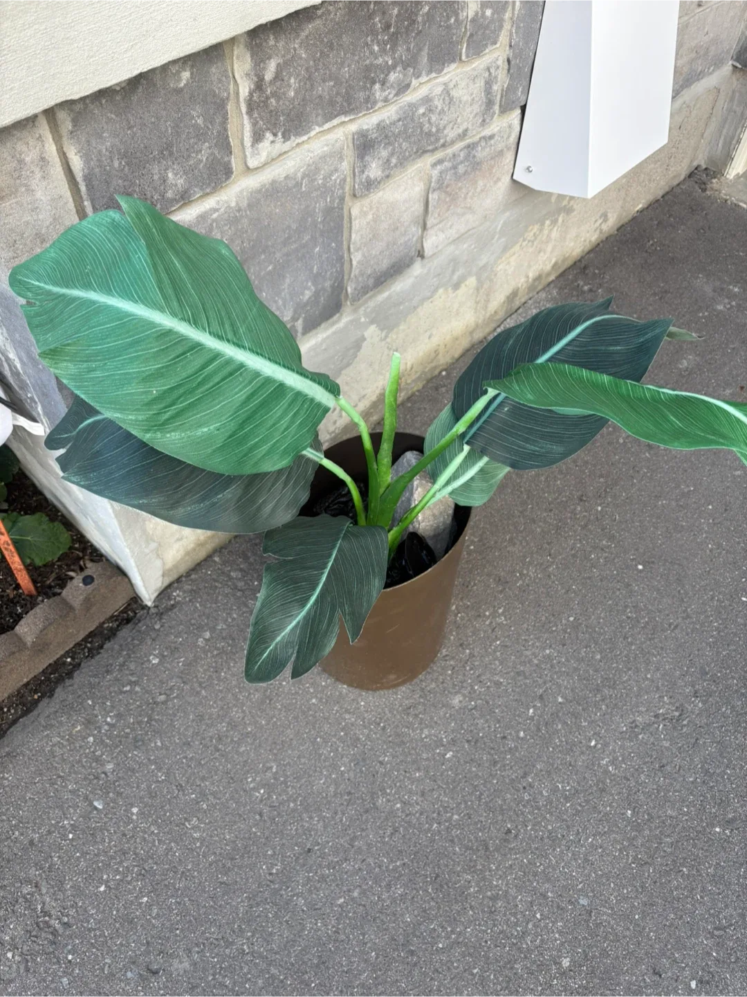 Potted Faux Plant image indicator(2)