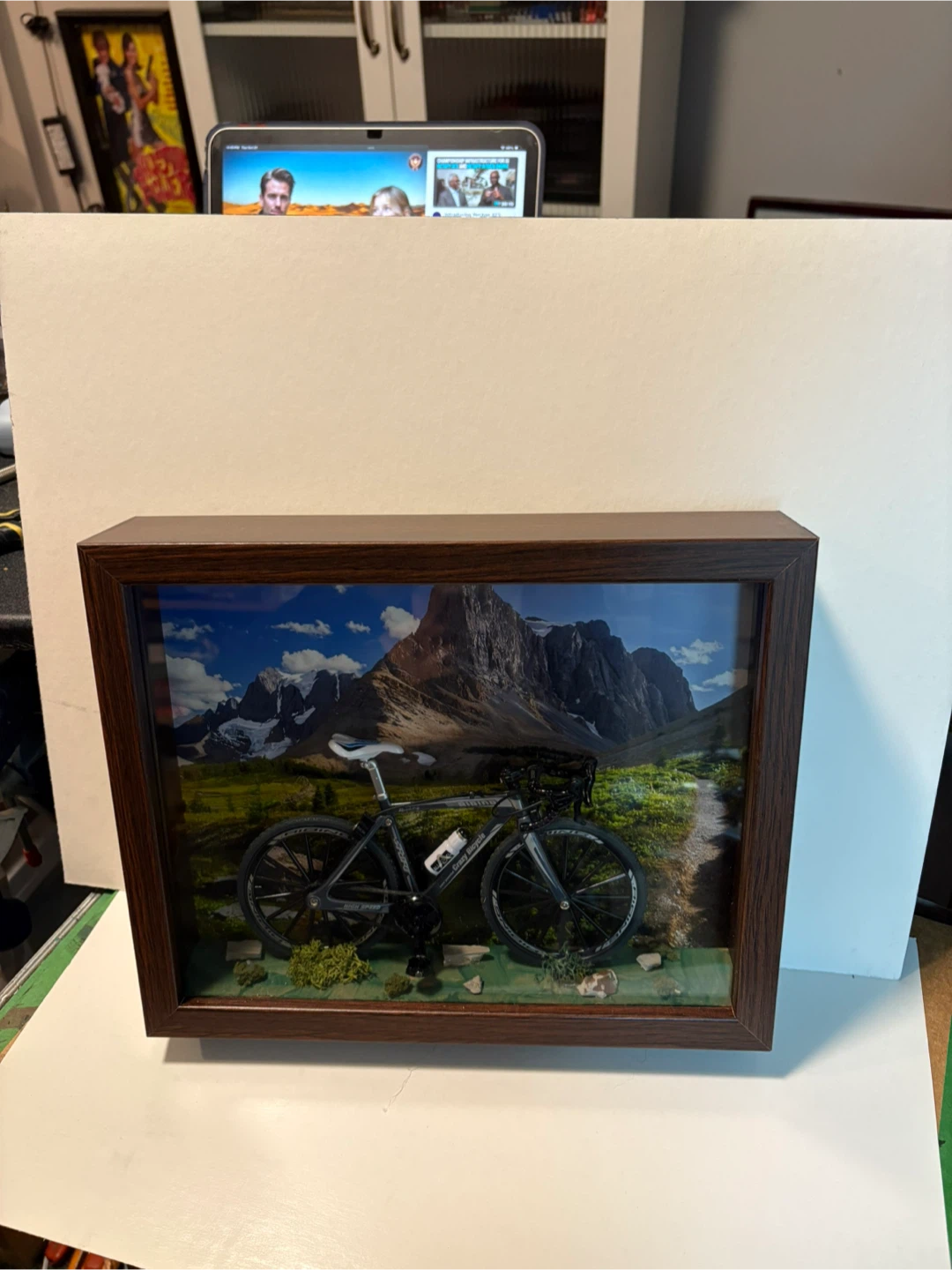Framed Bicycle Art
